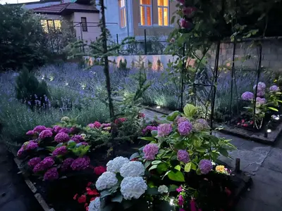 a garden with purple flowers in a yard at Nearby the Sea- Elegant Retreat in Varna in Varna City
