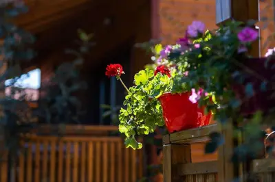 a bouquet of flowers on a wooden fence at Бунгала Гнездото Bungalows The Nest 1 in Lozenets