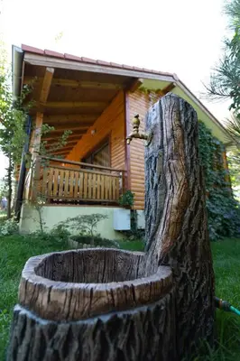 a large wooden stump in front of a house at Бунгала Гнездото Bungalows The Nest 1 in Lozenets