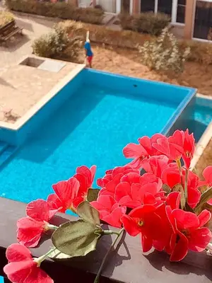 a bunch of red flowers next to a swimming pool at Студия Авангард in Sunny Beach