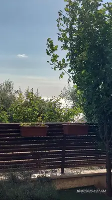 a wooden bench with two potted plants on it at Апартамент Феличита in Byala