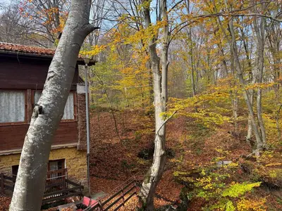 a log cabin in the woods next to some trees at Apartment With 2 Bedrooms - Magic Woods