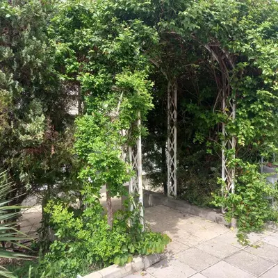 a garden with an arch with trees and plants at Home Comfort in Sunny Beach