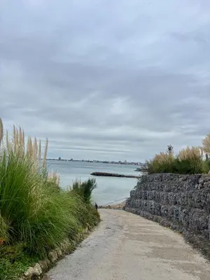 a dirt road next to the ocean with a stone wall at Luxury in Sveti Vlas