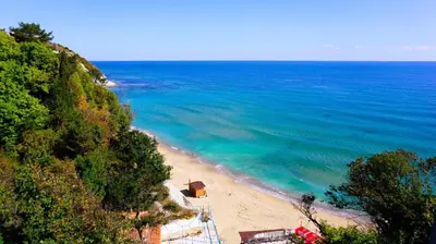 an aerial view of a beach with the ocean at Апартаменти Бяла Клиф - Byala Cliff Apartments in Byala