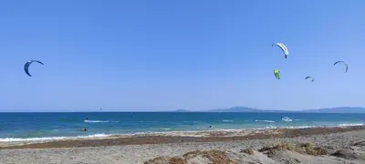 a group of people flying kites on the beach at PALAZZO FAMILY SUITE Sunny beach in Sunny Beach