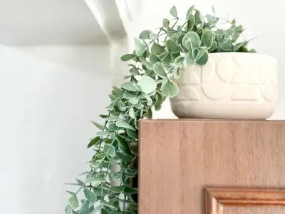 a plant in a white vase sitting on top of a cabinet at SeaSide 2BR Central apartment in Varna City