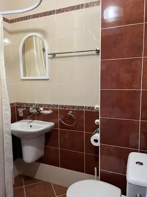 a bathroom with a sink and a toilet and a mirror at kaLe in Ravda