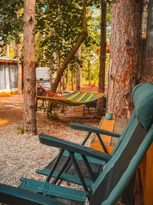 a hammock and a chair in the woods at Бунгало Борче in Burgas City