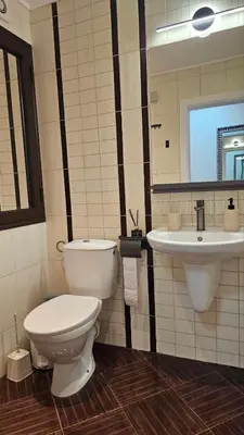 a bathroom with a toilet and a sink at Vladan apartments in Sozopol
