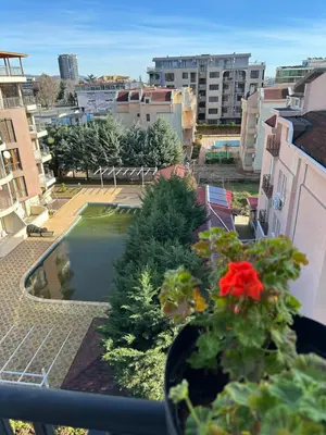 a balcony with a swimming pool and a plant at 