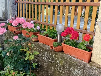 a bunch of flowers in pots on a fence at Dom Zaharievi in Byala