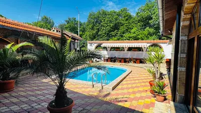 a swimming pool with a palm tree next to a house at Hotel Eos in Kiten