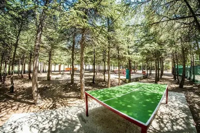 a green ping pong table in a park with trees at Imperial and Crown Fort Noks Grand Resort in Sveti Vlas