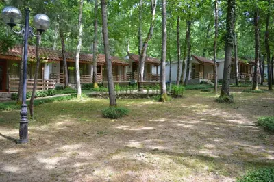 a house in the woods with a street light and trees at Villas Ropotamo in Primorsko
