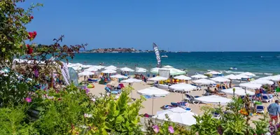 a beach with a bunch of umbrellas and the ocean at Perla Apartments in Nesebar