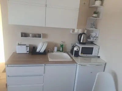 a kitchen with a counter with a microwave and a sink at Apartments Ivelin in Lozenets