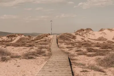a wooden path through the sand in the desert at Sunny Beach Club - Adults Only #YouthfulVibes in Sunny Beach
