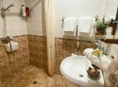 a bathroom with a sink and a shower at Apartments Yana in Obzor
