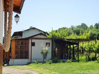 a small house with a vineyard in the background at Lozyata Guest House in Obzor