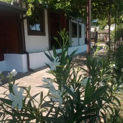 Lozyata Guest House
