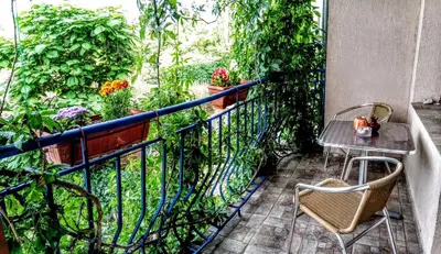 a balcony with a table and chairs and plants at Guest House Maria in Nesebar