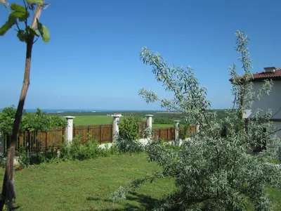 a backyard with a wooden fence and a tree at Vis Velika in Velika