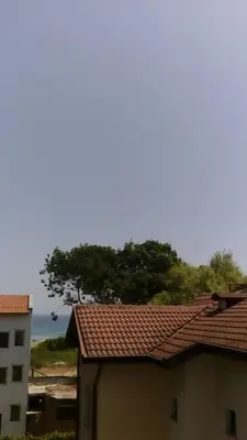 a view of a building with a tree and the ocean at Lurd Family Hotel in Lozenets