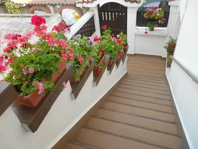 a stairway with flowers in flowerpots on a balcony at Dom Eli in Pomorie