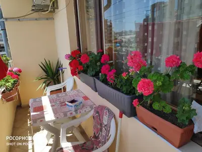 a balcony with flowers and a table and a window at Homestay Kostadinov in Pomorie
