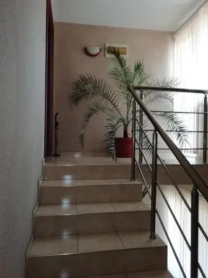 a staircase with two plants in a house at Milchevi Guesthouse in Sozopol