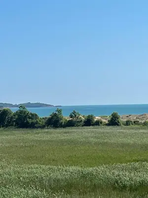 a field of grass with the ocean in the background at Pearl Sunshine Appartments in Primorsko