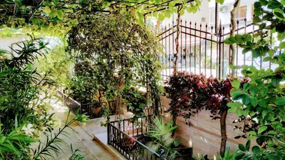 a garden with a bunch of plants on a wall at Dracena Guesthouse in Ravda