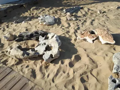 a group of rocks in the sand on a beach at Abelia Residence Apartment Regina in Sunny Beach