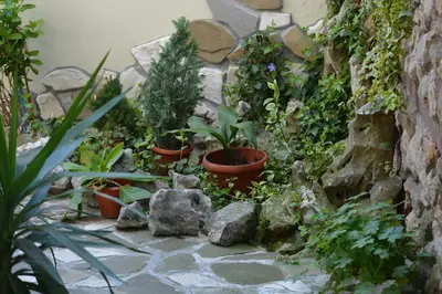 a garden with potted plants and rocks at Guest Rooms Melsambria in Nesebar