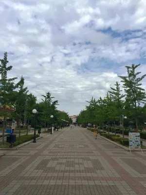 a street in a park with trees on either side at ART Apartments - Pomorie in Pomorie