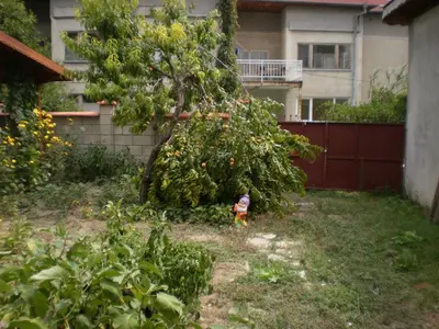 a small toy in a yard next to a tree at Песента на морето in Obzor