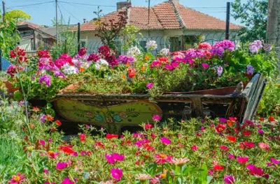 a field of flowers in front of a house at Morski Rai Rooms in Byala