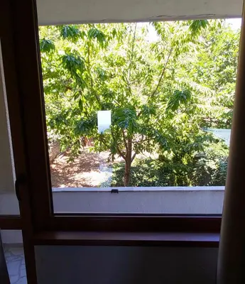 a window with a view of a tree outside at Tanja in Sveti Vlas