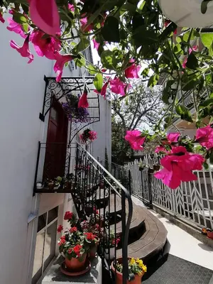 a stairway with pink flowers in potted plants at City Boutique Inn in Varna City