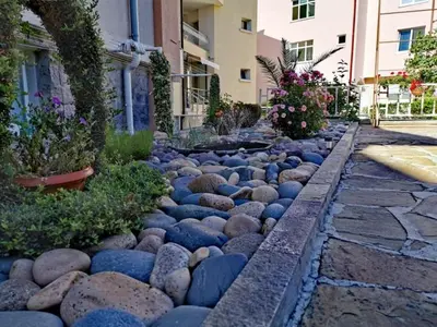 a stone pathway with rocks and plants and buildings at Guest House Dimovi in Sozopol
