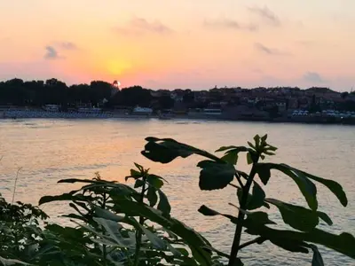 a plant in front of a body of water with the sunset at Guest House Dimovi in Sozopol