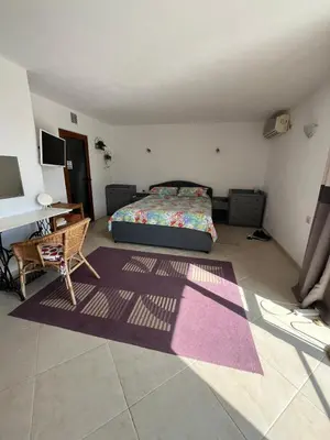 a bedroom with a bed and a desk and a rug at Villa Tunley in Razvalini Balchikioy