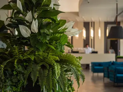 a plant with green leaves in a lobby at Aqua Paradise Resort & Aqua Park in Nesebar
