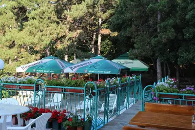 a row of tables and chairs with flowers and umbrellas at Hotel Zora in Sunny Beach