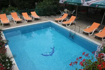 a swimming pool with chairs and a dolphin in the water at Hotel Zora in Sunny Beach