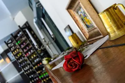a red rose sitting on top of a counter at Sveti Dimitar Hotel in Primorsko