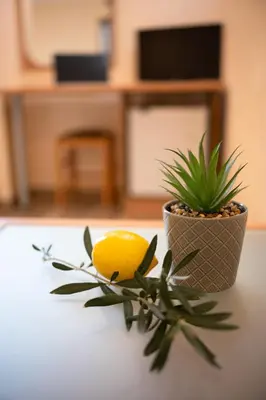 a plant and a lemon on a table at Hotel Zeus in Pomorie