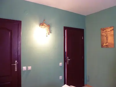 a room with a wall with a door and a lizard on the wall at Apartment Tourist Complex Rose Village in Sunny Beach