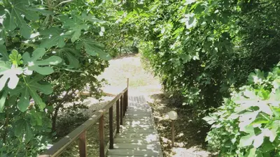 a path through the trees with a wooden bridge at Alex Beach Apartment in Sveti Vlas